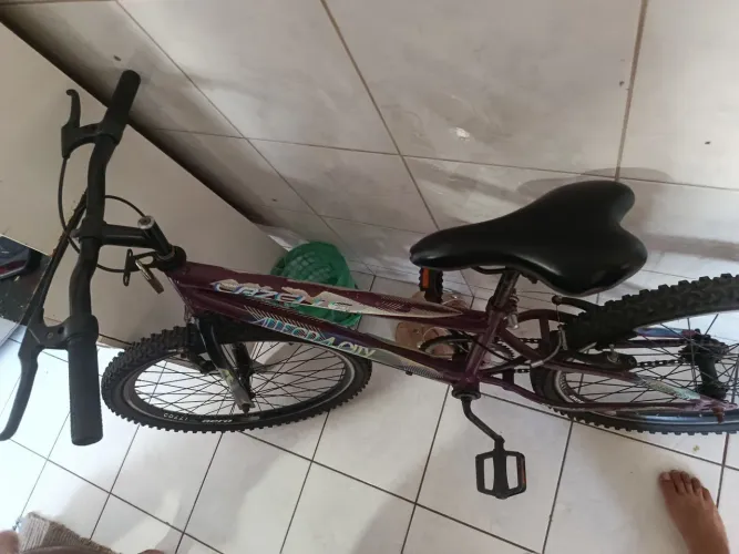 Bike colli aro 24