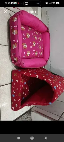 Cachorro ou Gatos