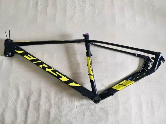 Quadro First Athymus Factore Racing F1 17