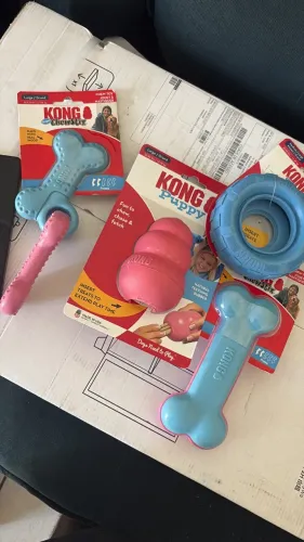 Brinquedos da kong cachorro