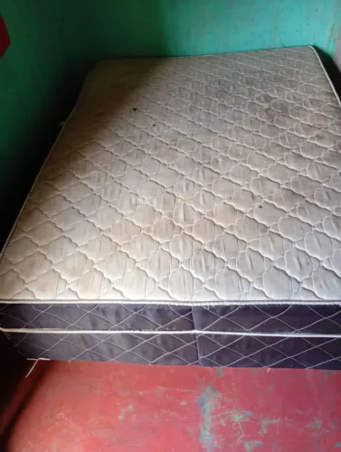 Cama