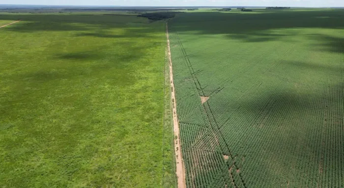 Fazenda arrendamento 2.541,hec em Gaucha do norte MT. 1.441 já plantando