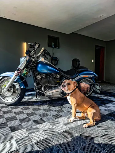 Harley Davidson FatBoy 115 Th