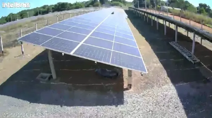 Usina Gerando 14.000 kWh + 7 Lotes prontos para Usinas Solares