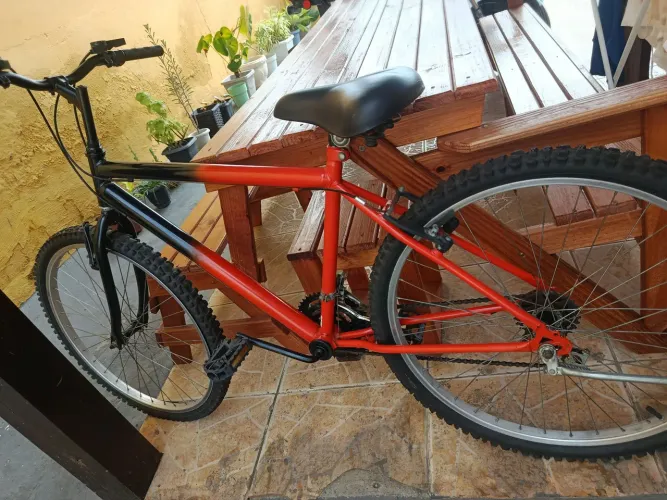 Bicicleta 