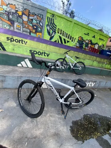 bicicleta ARO 29
