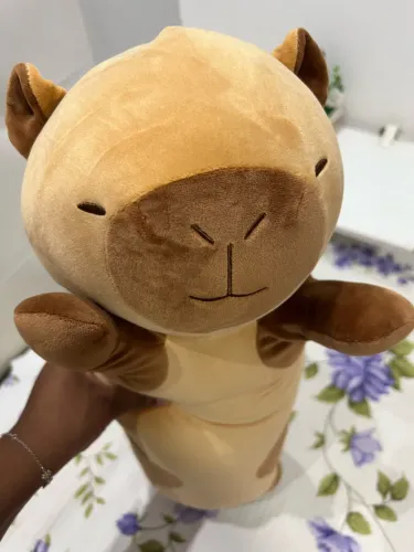 Urso pelúcia