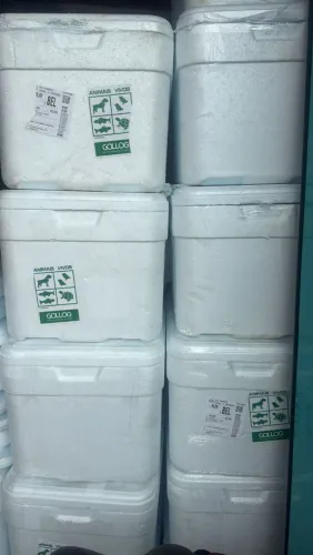 Isopor 