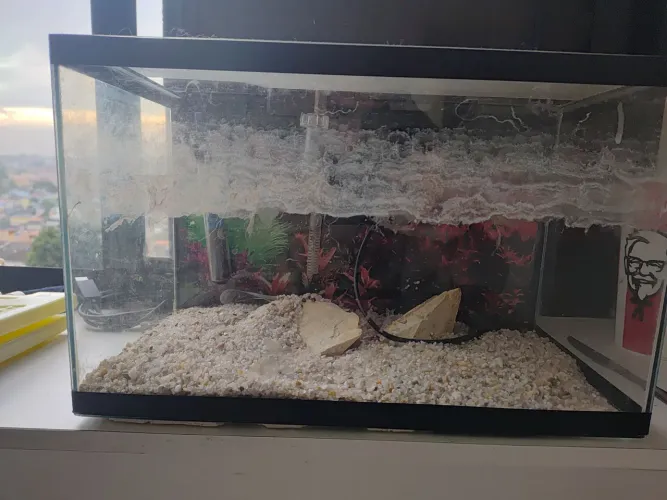 Aquario 65 litros 