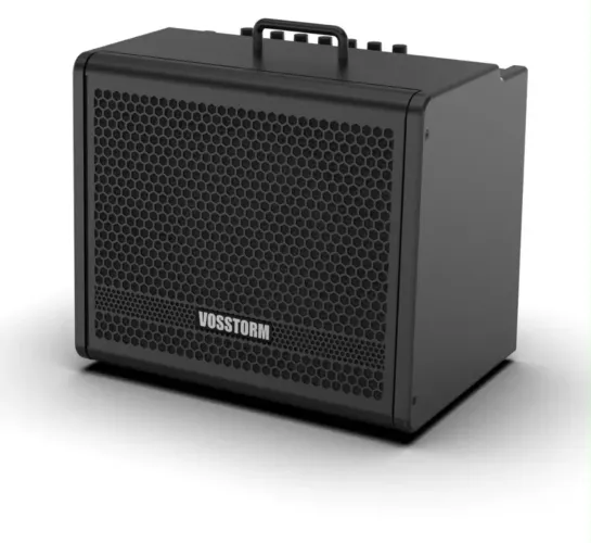 Amplificador Vosstorm GX-10