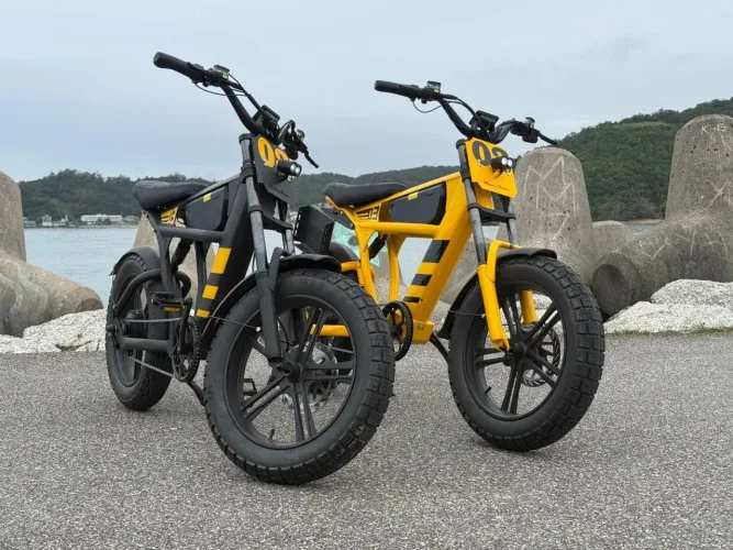 Bicicleta elétrica mangosteen FT03 motor 1000w super potente 60km Autonomia