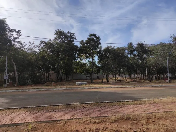 Lote condomínio Vila verde senador Canedo