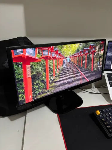 Monitor Lg