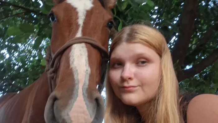 Cavalo mangalarga pura vendo pra ir logo