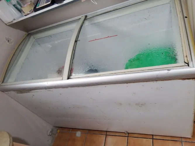 Freezer Horizontal