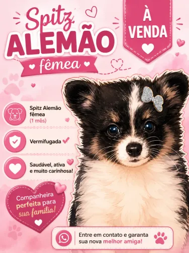 VENDE-SE