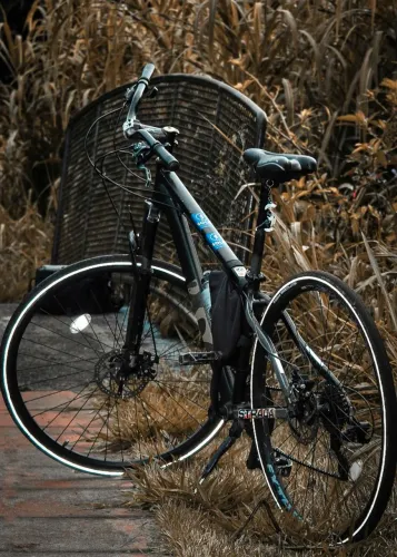 Vendo bike 29