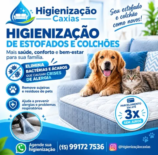 Limpeza de sofás e colchões e tapetes