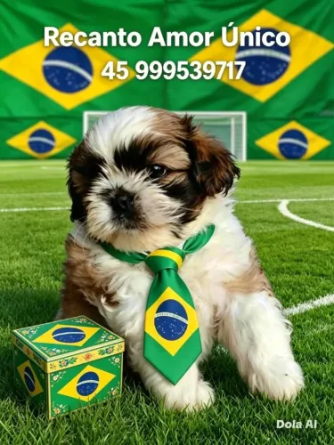 Filhotes de diversas raças - Promoção 