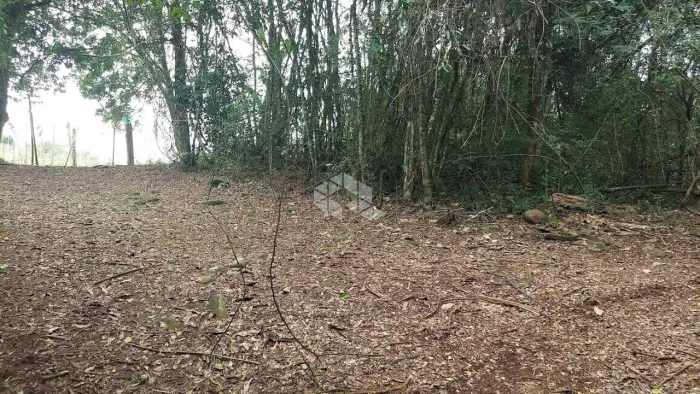 Terra de 2 hectares no interior do Vale dos Vinhedos