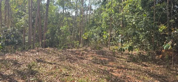 Lote 6.700m2, REALIZE O SONHO TER SEU SÍTIO NAS MONTANHAS DOMINGOS MARTINS, PARCELO TROCO