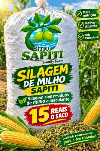 Silagem de milho