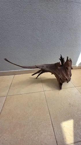 Tronco para Aquário
