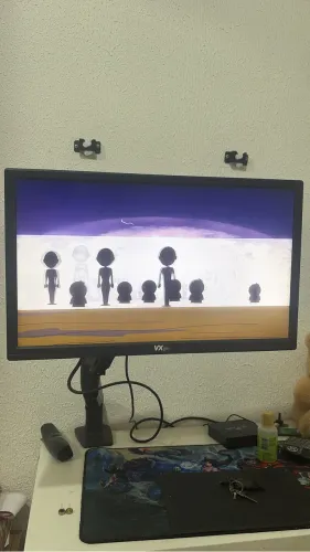 Monitor vx 19 pol