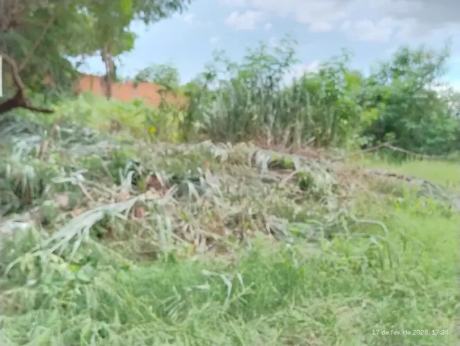 Vende 03 terrenos, bairro Dom Bosco, 200.000 cada um, área total 2.160m2