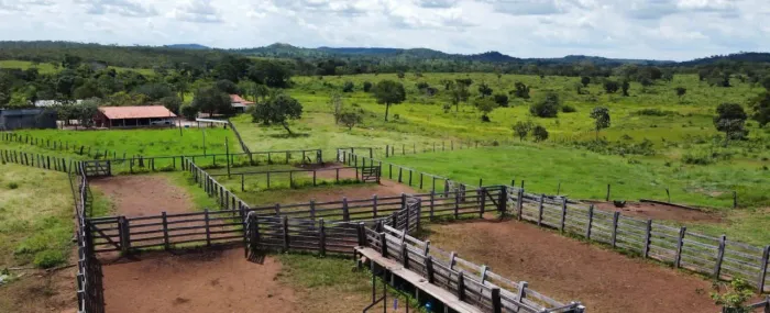 ?OPORTUNIDADE FAZENDA 239 ALQUEIRES DUPLA APTIDÃO 100 KM PALMAS TOCANTINS ?
