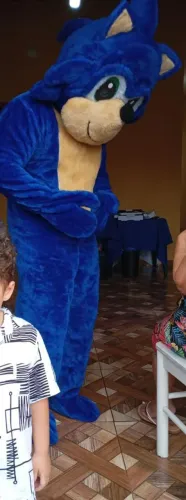 Fantasia Sonic adulto