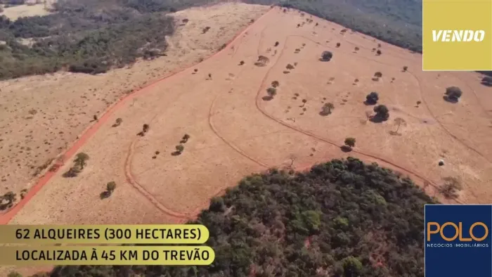 Fazenda à venda com 62 alqueires, localizada em uma região privilegiada em Uberlândia - MG