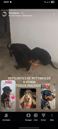 Outros 
