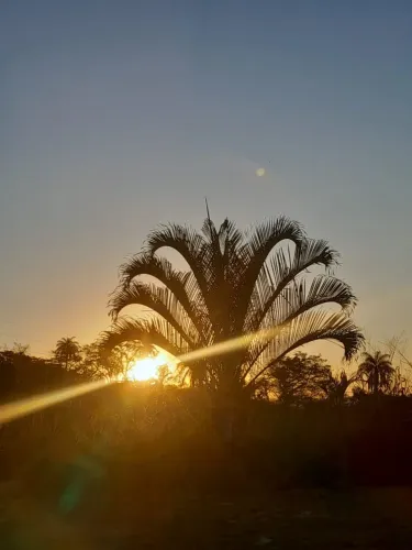Alugo sítio em santa luzia 1200