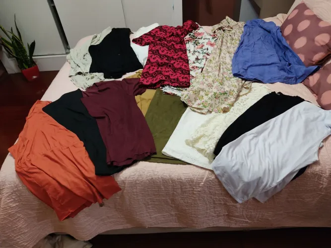 Lote plus size tamanho 48, com 15 peças, blusas, vestidos e camisas