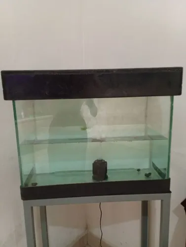 Aquário de peixe
