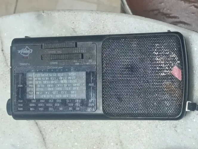 Rádio cougar 