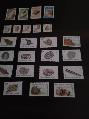 Coleção de selos , 29 selos , tema: conchas