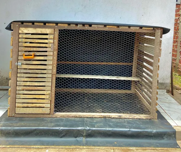 Galinheiro de Madeira