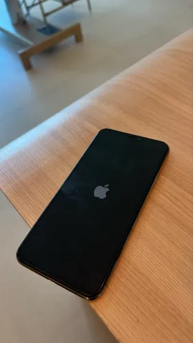 iPhone 11 Pro Max 256gb usado
