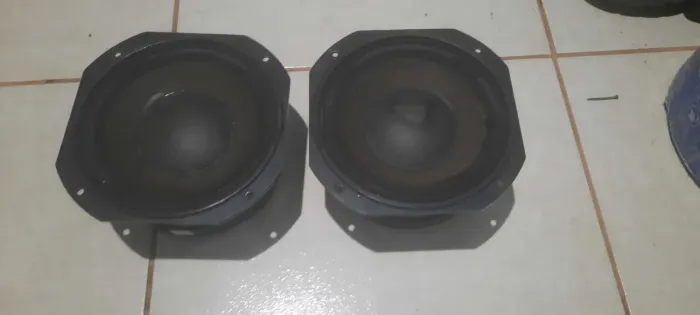 Vende-se Triton 8 polegadas 