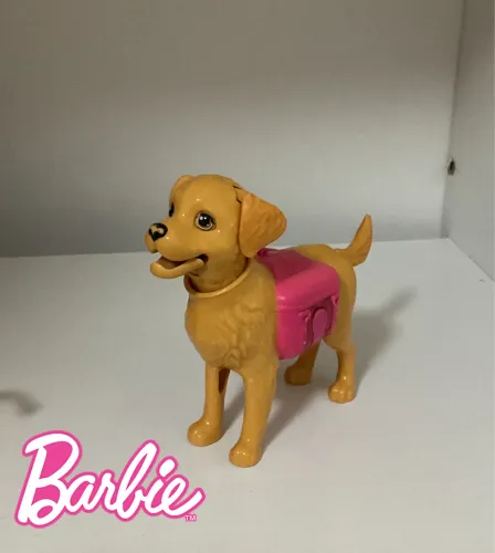 Cachorro da Barbie- que passeio com a cachorrinha Taffy que faz cocô