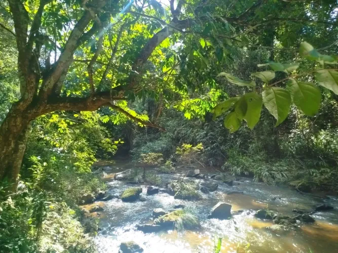 ? CHÁCARA EXCLUSIVA COM RIO NA MARGEM - OPORTUNIDADE RARA