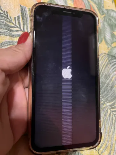 iPhone X