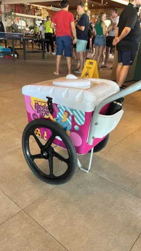 Vendo carrinhos de picolé