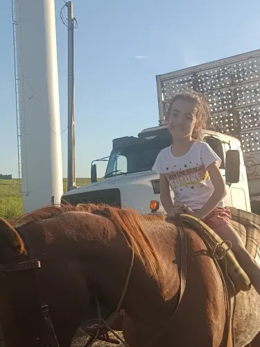 Vendo cavalo manso