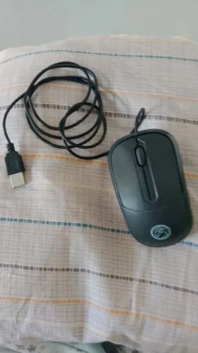 Mouse 