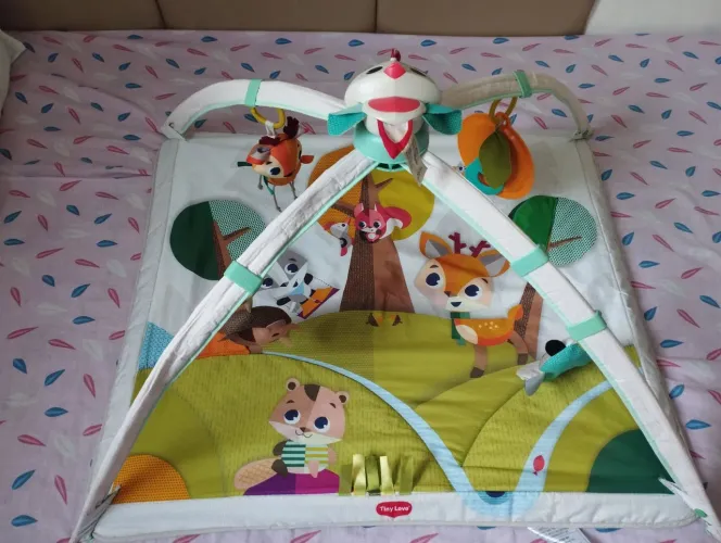 Brinquedo Tiny Love