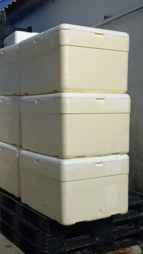 Caixa de Isopor para Produção Rural