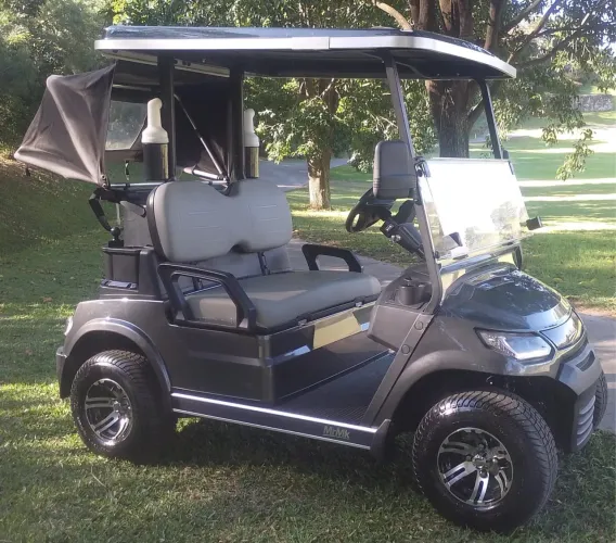 Carrinho de golf 2 lugares usado
